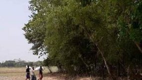 শ্বাসকষ্ট মারা যাওয়া যুবককে কবরস্থানে নেওয়ার জন্য খাটিয়া পেল না পরিবার